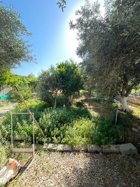 TƏCİLİ TORPAQ SATILIR