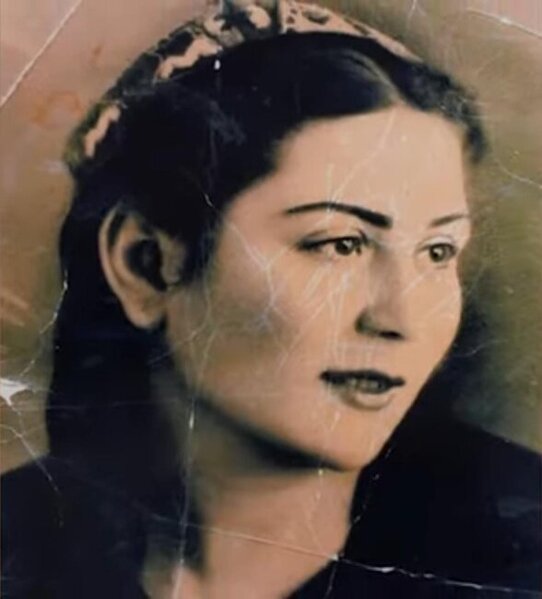 "İlyas Əfəndiyev "Xurşidbanu Natəvan" əsərində səhvə yol verib; yazıb ki, guya o, evli ola-ola ərə gedib"-Xurşidbanunun kötücəsi