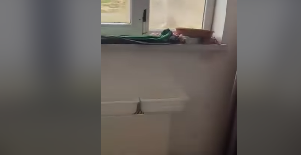 O görüntülərlə bağlı "Qaçqınkom"dan - Açıqlama