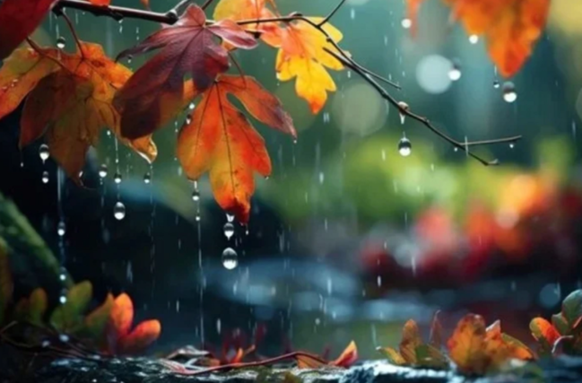 Yağıntılı hava BU TARİXƏ QƏDƏR DAVAM EDƏCƏK - FAKTİKİ HAVA