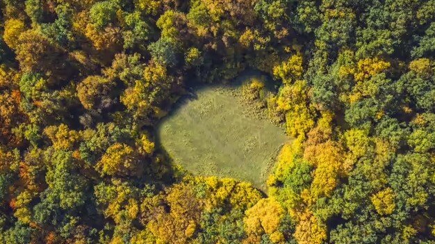 Çoban 200 qoyunu ilə yoxa çıxdı, həmin yer UNO-lara məskən oldu - Fotolar