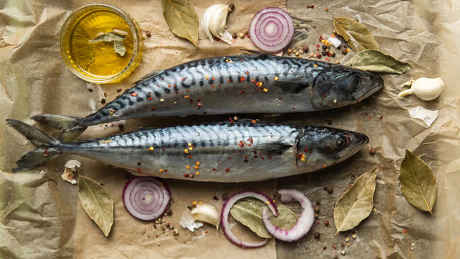 Skumbriya uçurumun kənarında: Həddindən artıq ovdan əziyyət çəkən balıq