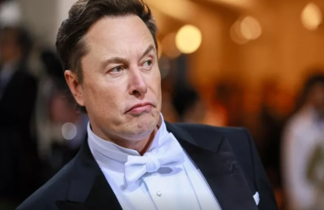 İlon Mask doğum səviyyəsindən narahatdır