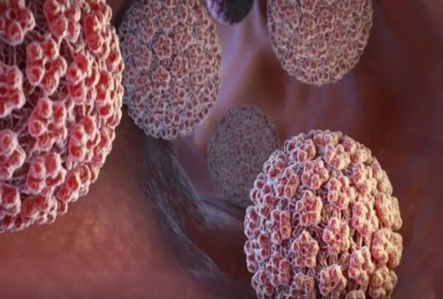 Demək olar bütün bəşəriyyət ona yoluxur: o hansı virusdur?