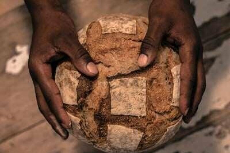 Təsdiqləndi: Çörəyi ilk dəfə onlar bişiriblər