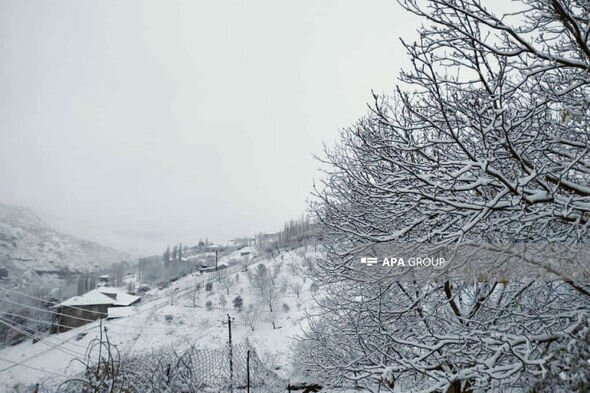 Naxçıvana qar yağıb - FOTO