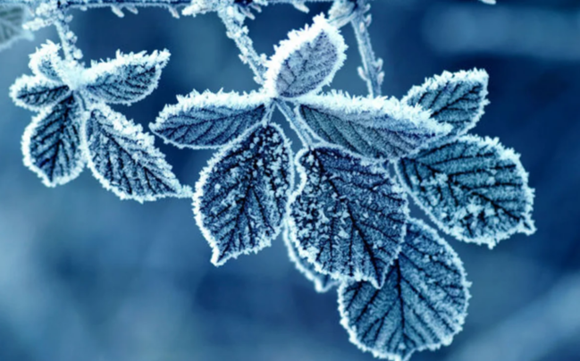 Temperatur enəcək, qar yağacaq - Xəbərdarlıq