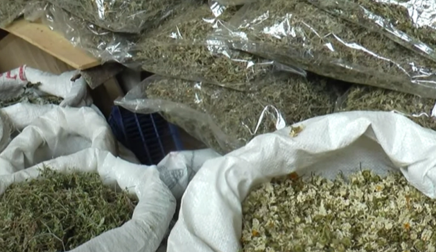 Ot bitkiləri hansı xəstəliklər üçün faydalıdır? - Elmlər doktoru AÇIQLADI