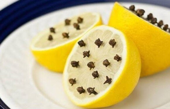 Ağcaqanadlardan qorunmağın asan yolları...