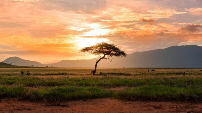 Afrika iki hissəyə bölünə bilər: Alimlər yeni okeanın yaranmasını istisna etmir