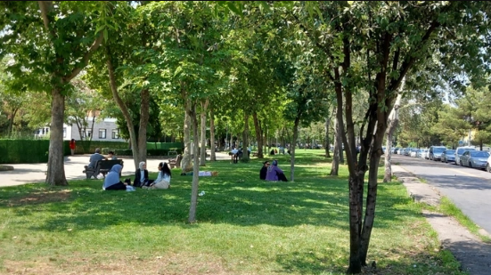 Parkda istirahət edən müəllimin başından güllə ilə vurdular