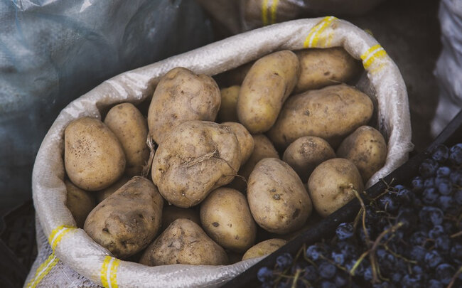 Cəlilabadlı fermerlər satdıqları kartofun pulunu ala bilmir