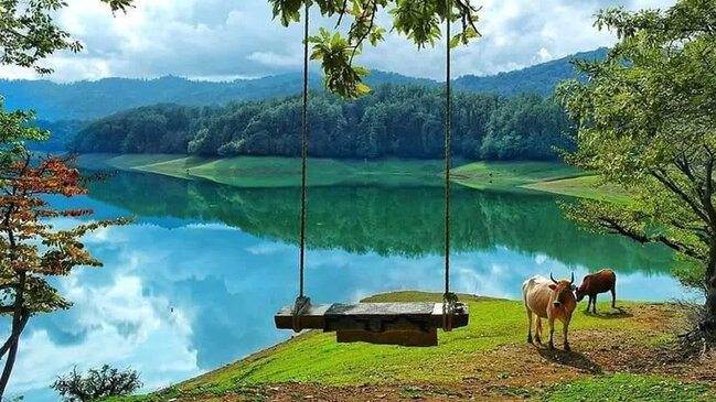 "Xanbulan" 5000 manat cərimə edildi