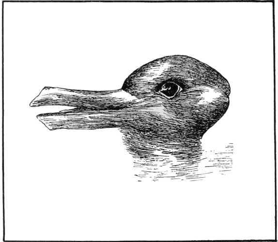 Ördək, yoxsa dovşan?