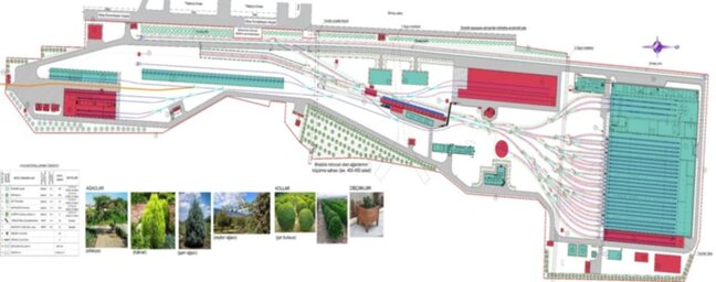 Dərnəgüldəki yeni metro deposunun ətrafında 1000-ə yaxın ağac əkiləcək