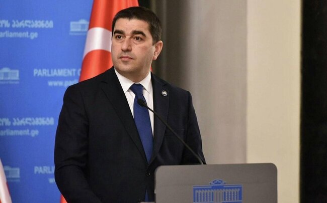 Papuaşvili: "ABŞ-nin maliyyə yardımının Gürcüstanın dövlət büdcəsinə heç bir təsiri olmayıb"