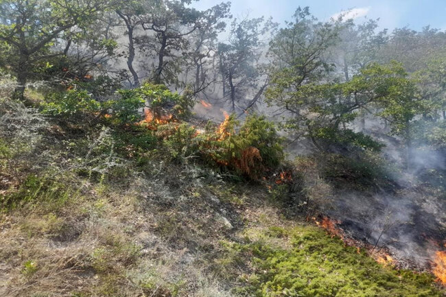 Xızıda dağlıq ərazidə yanğın olub - VİDEO