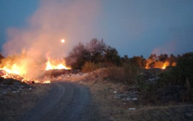 Qəbələdə yanğın törədən şəxs saxlanıldı