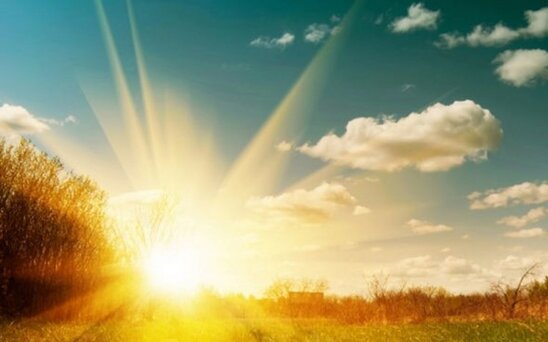 TƏBİB: "Bu günə qədər 16 nəfəri gün vurub"