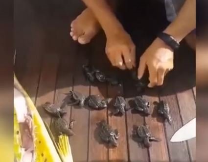 Balığın içindən görün nə çıxdı - FOTOLAR