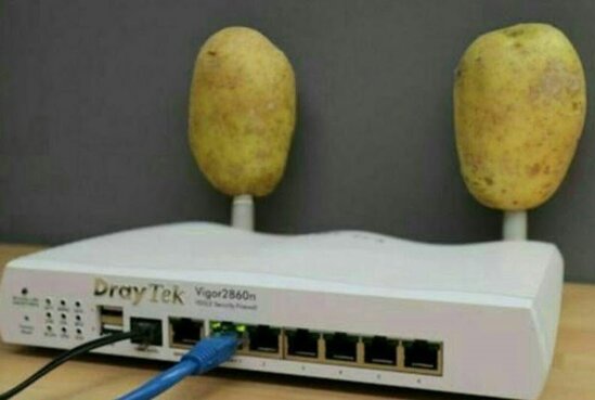 Modemə kartof keçirtdilər - Nəticəsi hər kəsi təəccübləndirdi - VIDEO