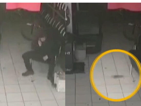 Siçan işçiyə meydan oxudu - VİDEO
