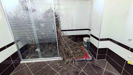 2 ildən sonra evinə qayıdan qadın heyrətə gəldi: Hamama girəndə... - FOTO