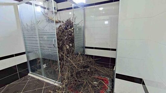 2 ildən sonra evinə qayıdan qadın heyrətə gəldi: Hamama girəndə... - FOTO