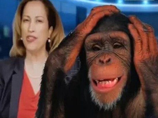 Meymunçiçəyi virusu: internetdə yayılan yanlış iddialar