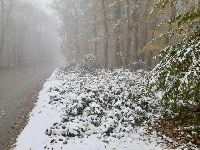 Milli Parklar ağ örpəyə büründü - FOTO