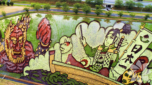 Sənət əsərinə çevrilən düyü tarlaları - FOTO