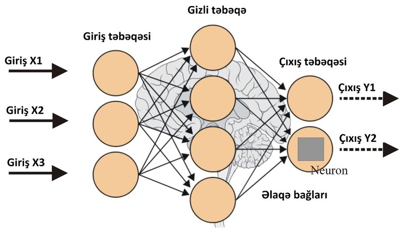 Neyron şəbəkələri və süni intellekt (GPT-4) nədir? - ARAŞDIRMA