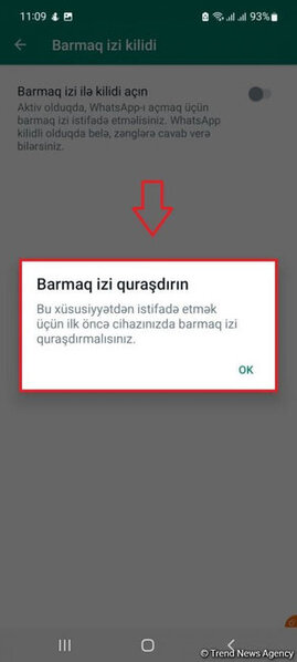 "WhatsApp"ın izləndiyini necə bilmək olar? - FOTO