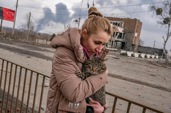 Zelenski dəhşətli görüntülər paylaşdı və NATO-ya müraciət etdi- FOTOLAR
