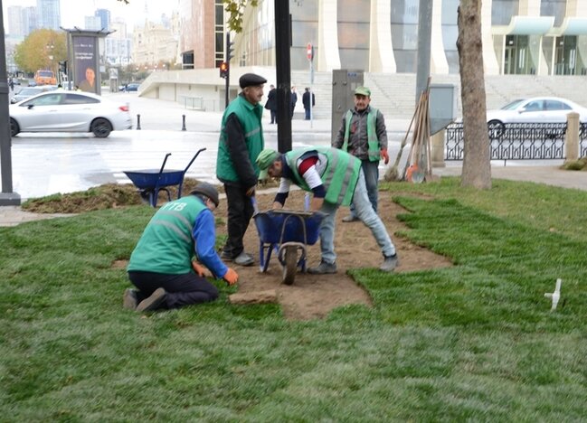 Bakıda ümumşəhər sanitar günü keçirildi