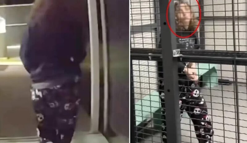 12 yaşlı uşağın kütləvi hücum planı son anda dayandırıldı - VİDEO