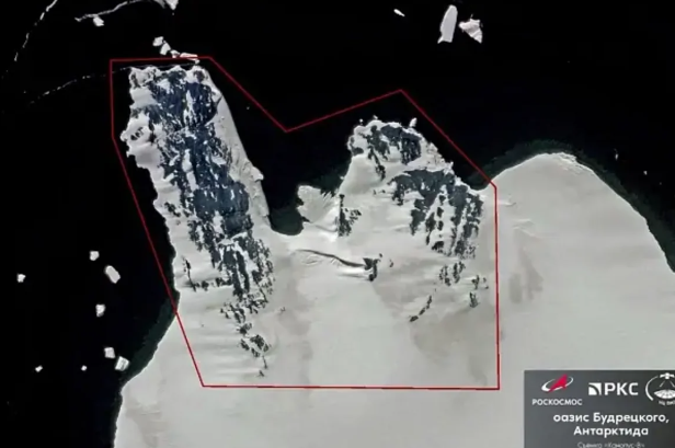 Rusiyalı alimlər Antarktidada vahə kəşf ediblər