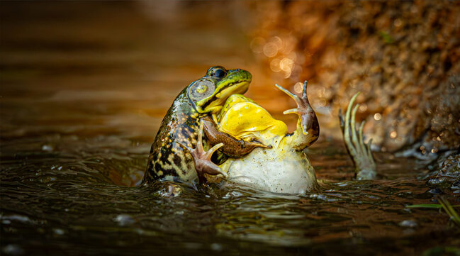 Gülmək istəyirsinizsə, bu fotolara baxın