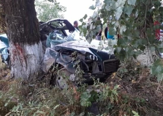 Qazaxda maşın ağaca çırpılıb - Sürücü yaralanıb