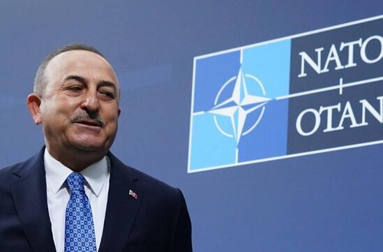 Türkiyə niyə Finlandiya və İsveçin NATO üzvlüyünə qarşıdır?