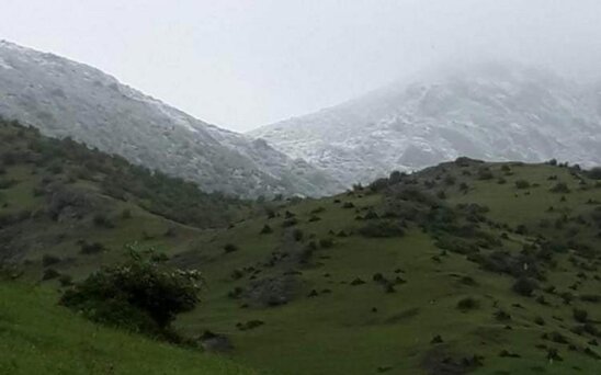 Lerikin dağlıq kəndlərinə qar yağır