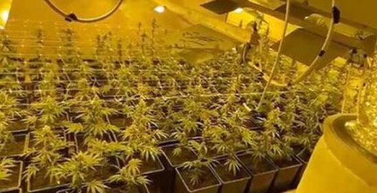 Narkotik istehsal edə bilmək üçün böyrəyini satdı: Kirayələdiyi villanı emalatxanaya çevirib - VİDEO