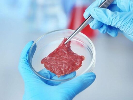 Süni ət istehsalına başlanıldı- Kollektorlar qurulur