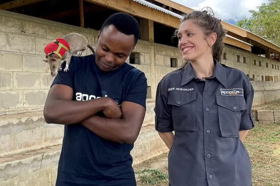 Xilaskarların yeni dostu "qəhrəman gəmiricilər" Türkiyəyə göndərilir - FOTO/VİDEO