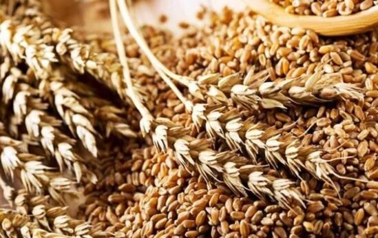 Türkiyə Ukrayna taxılını alacaq