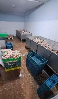 Buzovnada satılan dönər at ətindən imiş: "FQ Foodex"-in hazırladığı dönər ətlərində salmonella bakteriyası aşkarlanıb