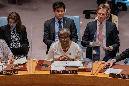 "Rusiya Ukraynaya müdaxilə etməklə, BMT Nizamnaməsini yandırıb..."