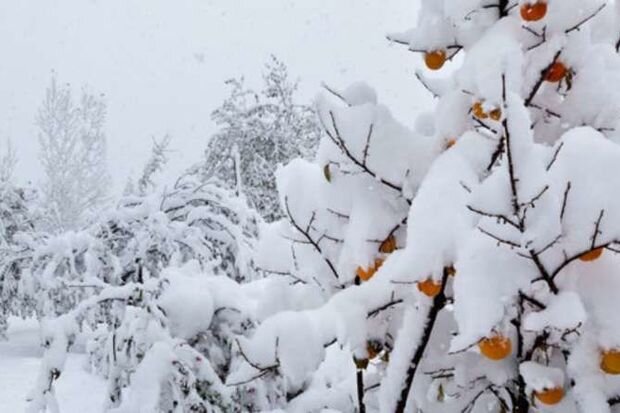 Böyük Qafqazın yüksək dağlıq ərazilərində qar yağıb - FAKTİKİ HAVA