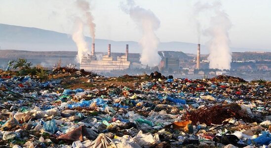 Ermənistanda ekoloji fəlakət heyvanları kütləvi şəkildə məhv edir