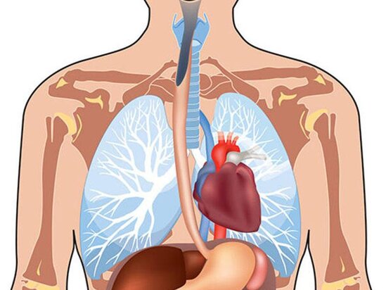 Bütün bədən orqanlarını satmaq istəyən şəxs real müştəri axtarır